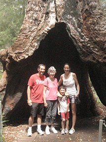 giant tree